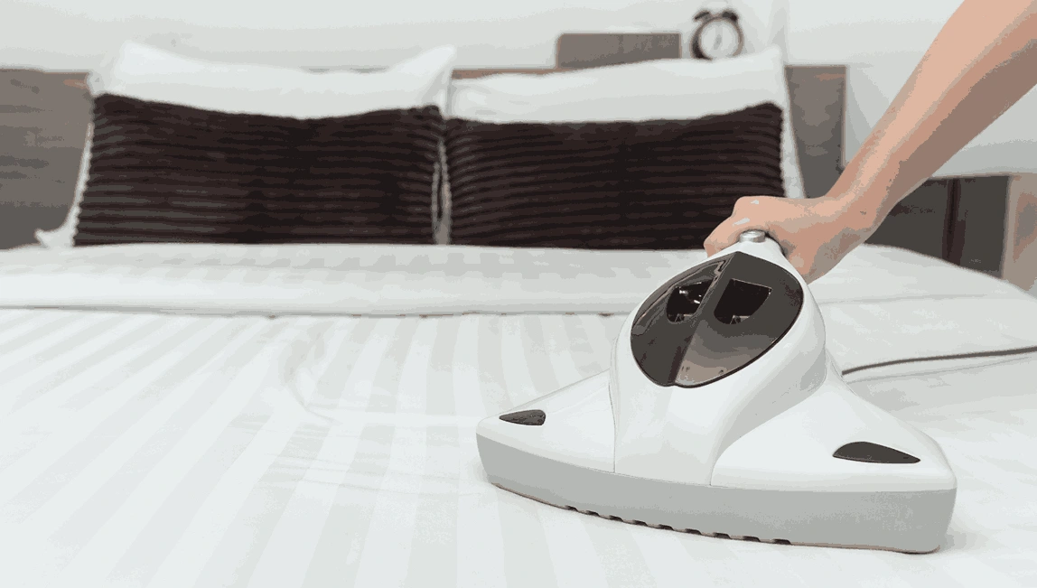 Professional Mattress Cleaning Kensington